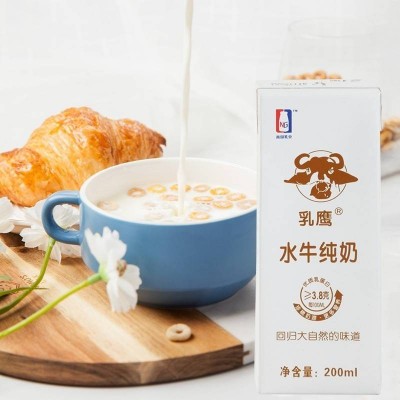 乳鹰水牛纯奶200ml*10盒整箱礼盒儿童学生成人营养早餐纯牛奶图2