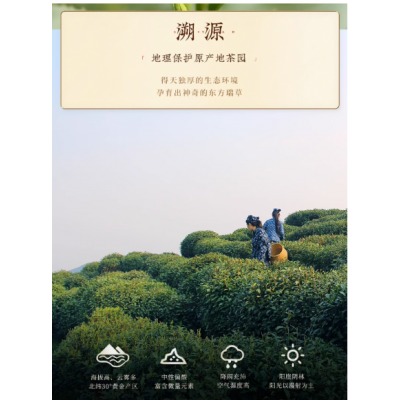 新茶上市西湖牌雨前浓香龙井茶茶叶正宗250g散装绿茶茶厂春茶图5