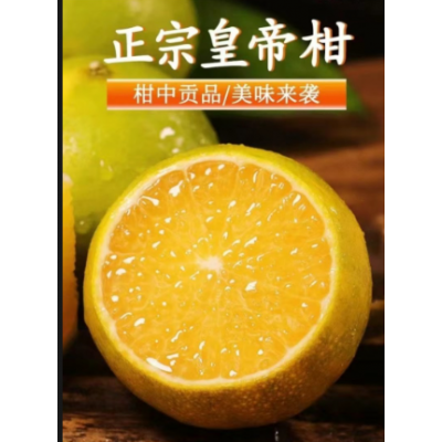 广西皇帝柑沙糖桔新鲜水果果园直采5斤/箱图5
