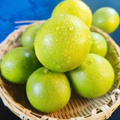 云南冰糖橙 单果120g约2.5kg/箱图5