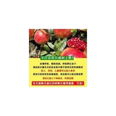 四川会理突尼斯软籽石榴特大果精品礼盒2.5kg图4