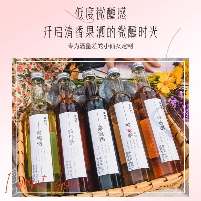 苏州桥水果酒微醺少女酒桃醉青梅梅子杨梅桑葚玫瑰酒花果低度甜酒图2