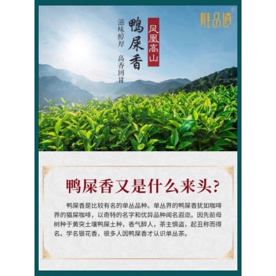 唯品道鸭屎香茶凤凰单丛潮州单枞茶样茶版试喝装体验装品鉴6g包邮图2
