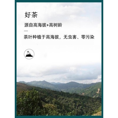 唯品道鸭屎香茶凤凰单丛潮州单枞茶样茶版试喝装体验装品鉴6g包邮图3