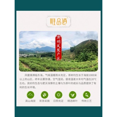 唯品道鸭屎香茶凤凰单丛潮州单枞茶样茶版试喝装体验装品鉴6g包邮图5