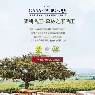 全球Top50庄园智利750*1瓶原瓶进口霞多丽甜型干白葡萄酒礼盒装图5
