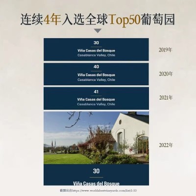 全球Top50庄园智利750*1瓶原瓶进口霞多丽甜型干白葡萄酒礼盒装图4