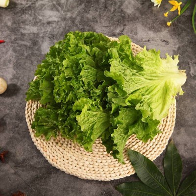 奶油生菜约500g图4
