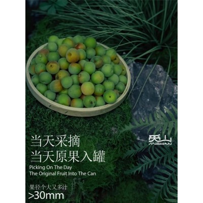 觅山青梅酒750ml*2瓶觅友装10.5低度梅子原果发酵微醺果酒礼盒装图4
