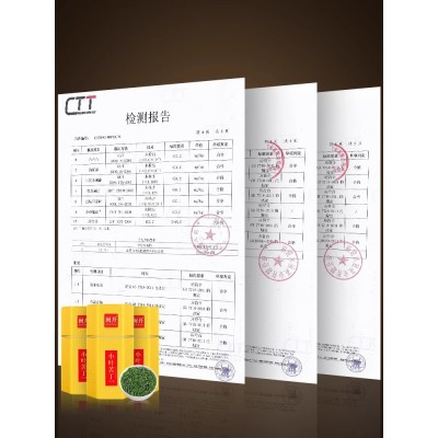 闽丹小叶苦丁茶正品特级新茶野生青山绿水优质嫩芽头茶叶500g图3