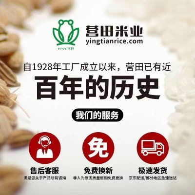 营田朝阳黄小米2.5kg/袋图4