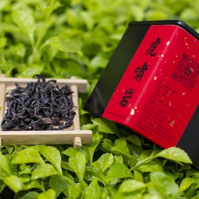 正岩【虎啸岩】大红袍 武夷山特级浓香型茶 50g罐装密封图4