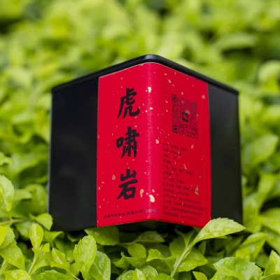 正岩【虎啸岩】大红袍 武夷山特级浓香型茶 50g罐装密封图5