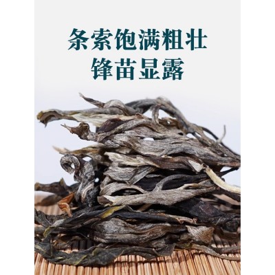 云南临沧坝歪普洱生茶1500g散装冰岛普洱茶生茶散茶老树茶春茶叶图3