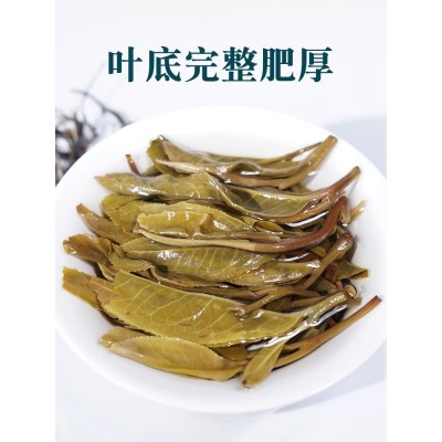 云南临沧坝歪普洱生茶1500g散装冰岛普洱茶生茶散茶老树茶春茶叶图5