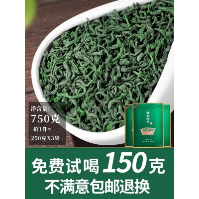 新茶叶春茶绿茶毛尖茶日照充足高山云雾浓香型袋装散装共750g图4