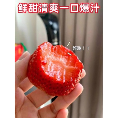 草莓种籽子奶油草莓盆栽苗四季开花结果室内外花卉盆栽阳台花种子图3