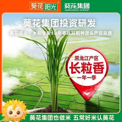 葵花阳光长粒香米黑龙江优质产区 五常长粒香米5kg/袋图6