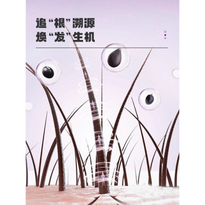 白云山盈康桑葚五黑茶悦发茶黑芝麻黑豆黑枸杞桑葚茶养生茶包熬夜图3