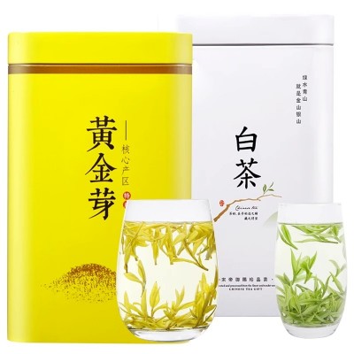 正宗白茶安吉茶树黄金芽茶叶新茶明前珍稀高山绿茶礼盒罐装图5