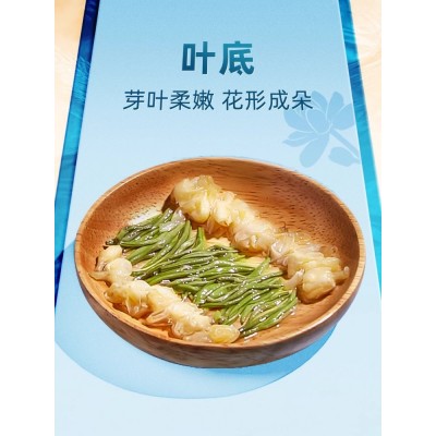 艺福堂茶叶茉莉花茶香雪冷泡横县原产新茶特级浓香官方旗舰店图4