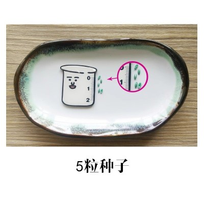 天竺葵种子春播四季易种室内花卉种子阳台盆栽秋播多年生花籽图4