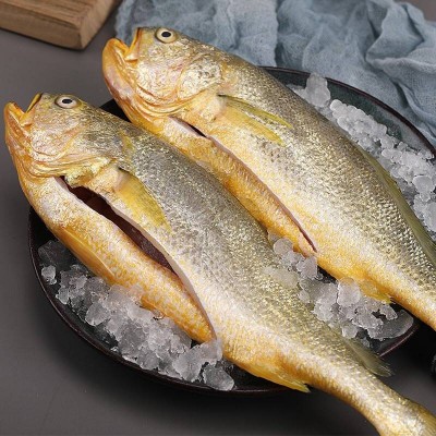 去净膛黄花鱼三条 装净膛后约400g/条*3图3