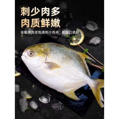 海南金鲳鱼500g*3袋图4