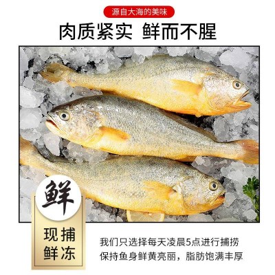 今锦上宁德大黄鱼礼盒装4条2kg图2