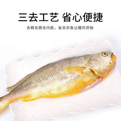 今锦上宁德大黄鱼礼盒装4条2kg图3