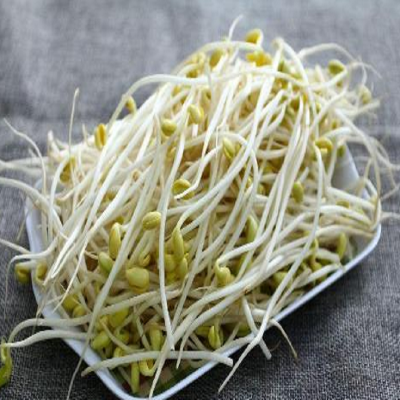绿豆芽350g图5