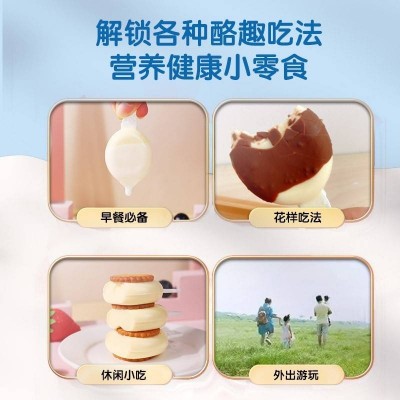 妙飞 超级飞侠奶酪棒 原味 25支装450g图6