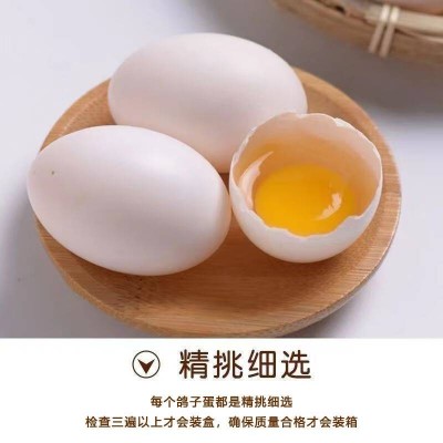 鸽子蛋20枚/ 盒图3