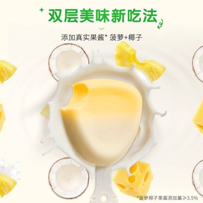 伊利混合水果味双层奶酪棒 360g图4