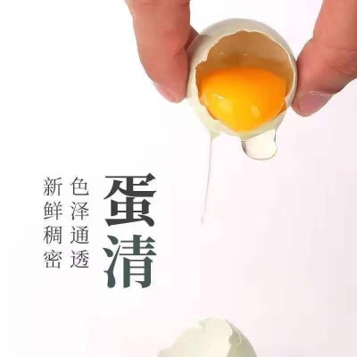 乌鸡蛋30枚(绿壳)/ 盒图6