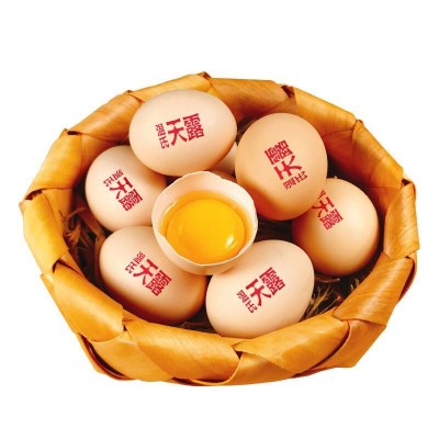 温氏富硒蛋20枚早餐食材鸡蛋礼盒健康轻食  / 盒图4