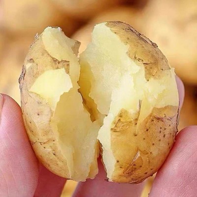 新鲜现挖农家黄皮小土豆迷你马铃薯5斤/箱图3