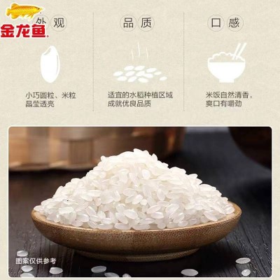 金龙鱼御品珍珠米 晶莹透亮 弹韧爽口 精选好味稻500g/袋图4
