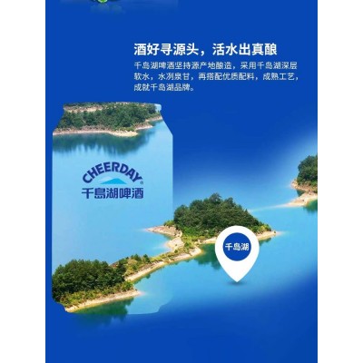 千岛湖啤酒8°P绿色冰爽啤酒一整箱330ml*24听罐装图2