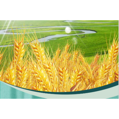 巴麦河套平原家用粉高纤高蛋白健康食品新选择5kg图5