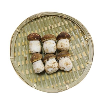 398型六菌鲜珍品鲜菌礼盒2000g图2