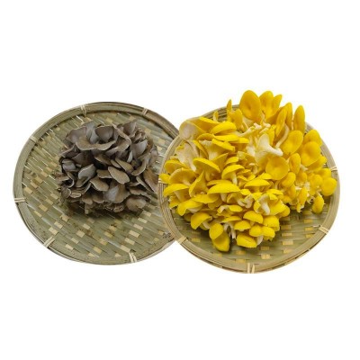 398型六菌鲜珍品鲜菌礼盒2000g图5