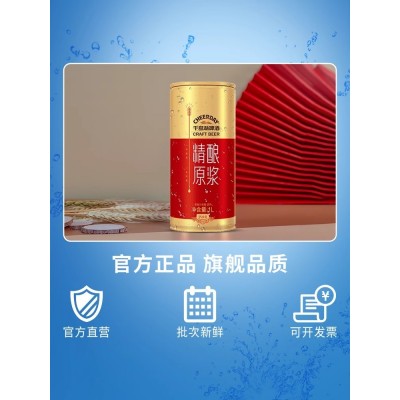 千岛湖啤酒(CHEERDAY)9度 精酿原浆1000mI*6罐 大罐全麦精酿 整箱装图3