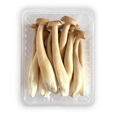 云南芸岭鲜生有机鹿茸菇250g图2