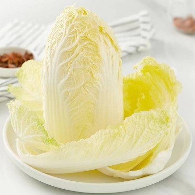 小汤山三宝白菜600g/颗图4