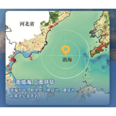 中盐精制盐优级400g/袋图5