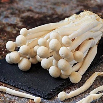 菌菇葵萃约400g图5