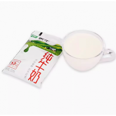 蒙牛纯牛奶 200mL*16袋 整箱装图2