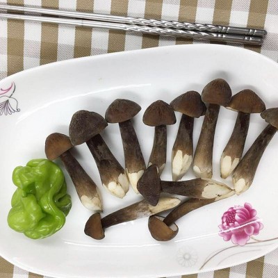鸡枞菌约150g图4