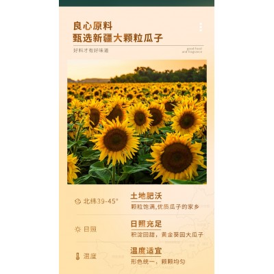 华味亨焦糖味香瓜子 500g*2包图5